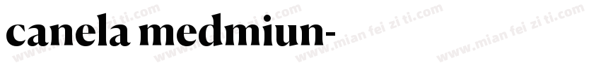 canela medmiun字体转换